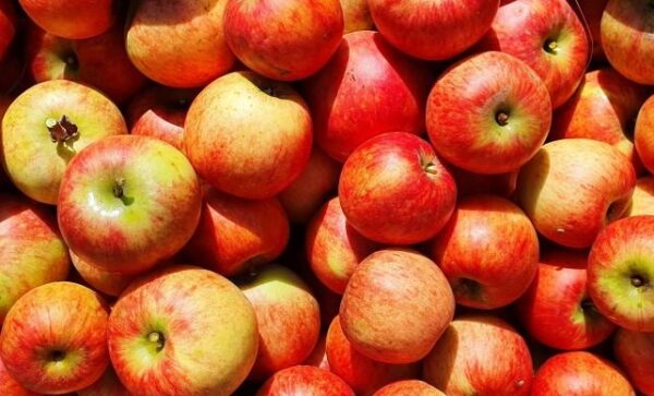 streuobstwiesen-apfelsaft-direktsaft-5l-ansicht-4